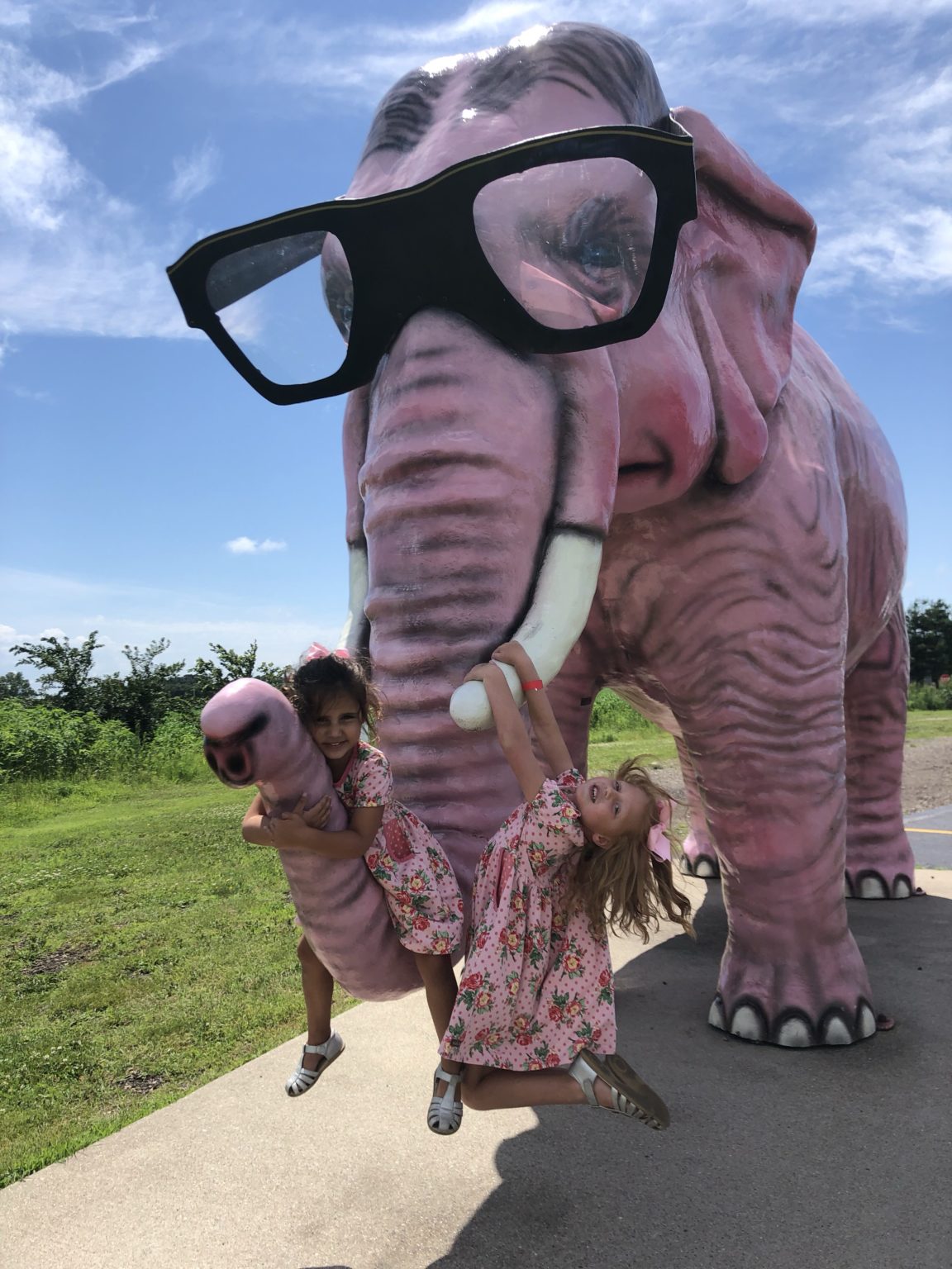 Another Roadside Attraction - Pinkie the Pink Elephant 