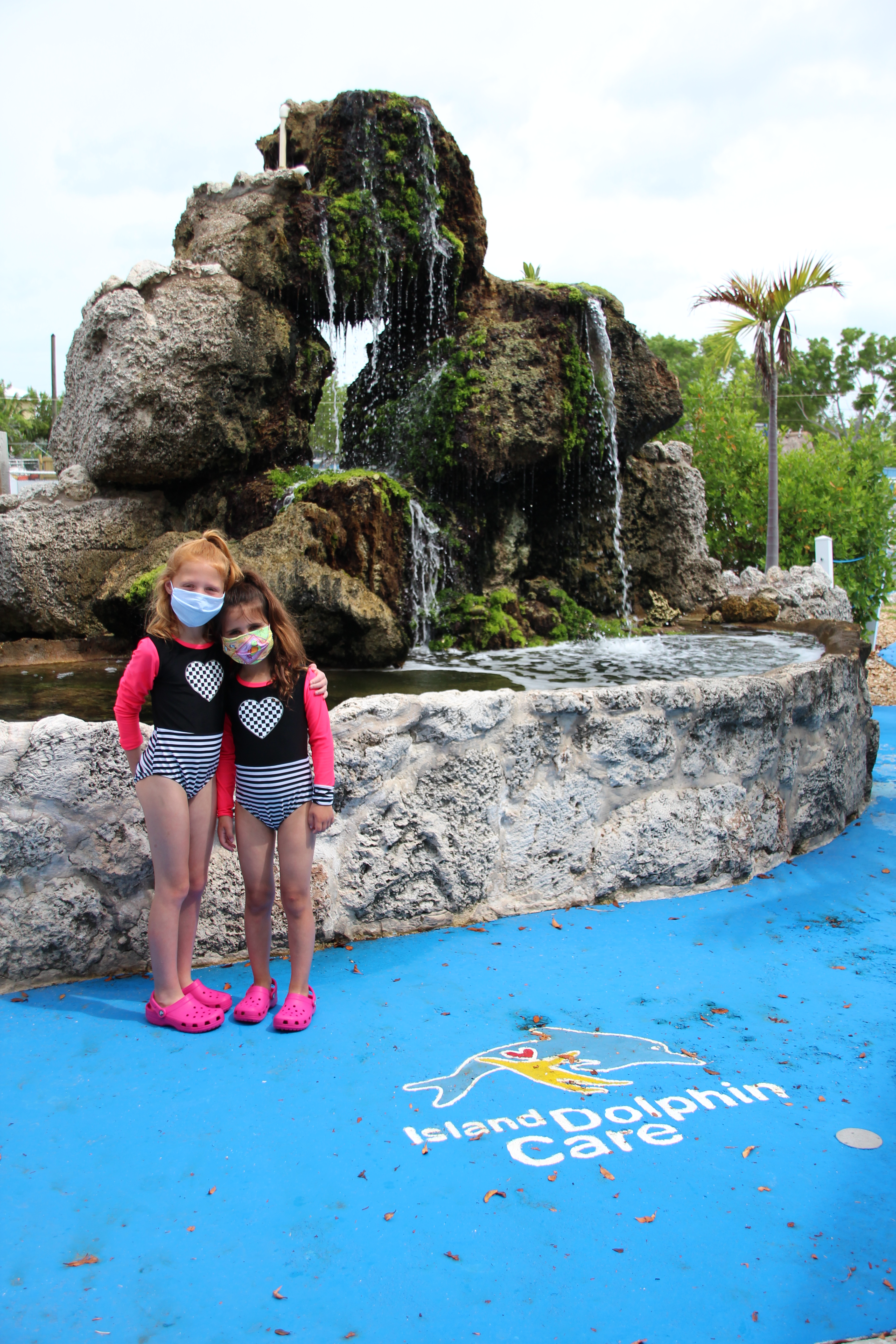 Island Dolphin Care - Dolphin Interaction