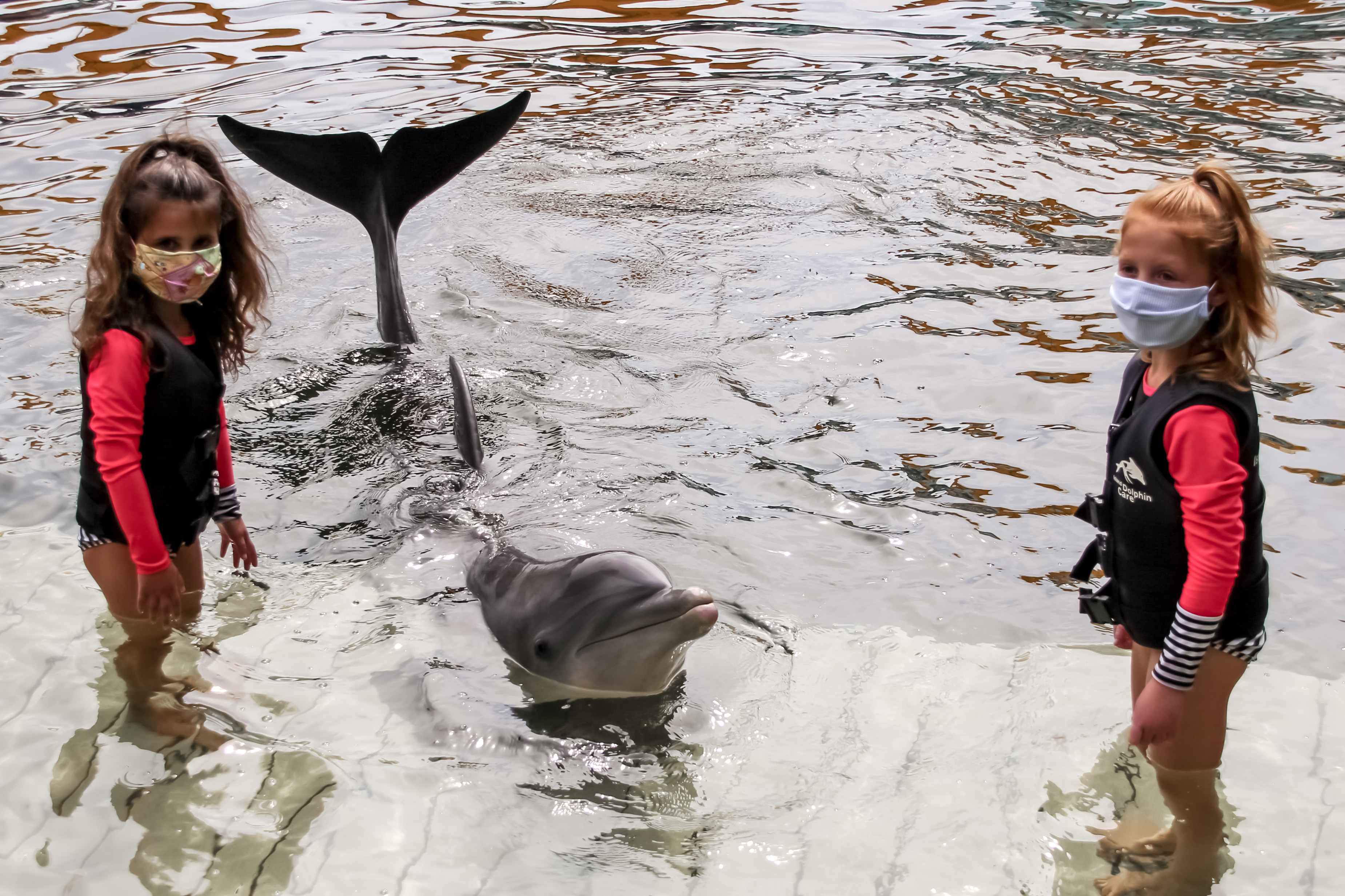 Island Dolphin Care - Dolphin Interaction 2