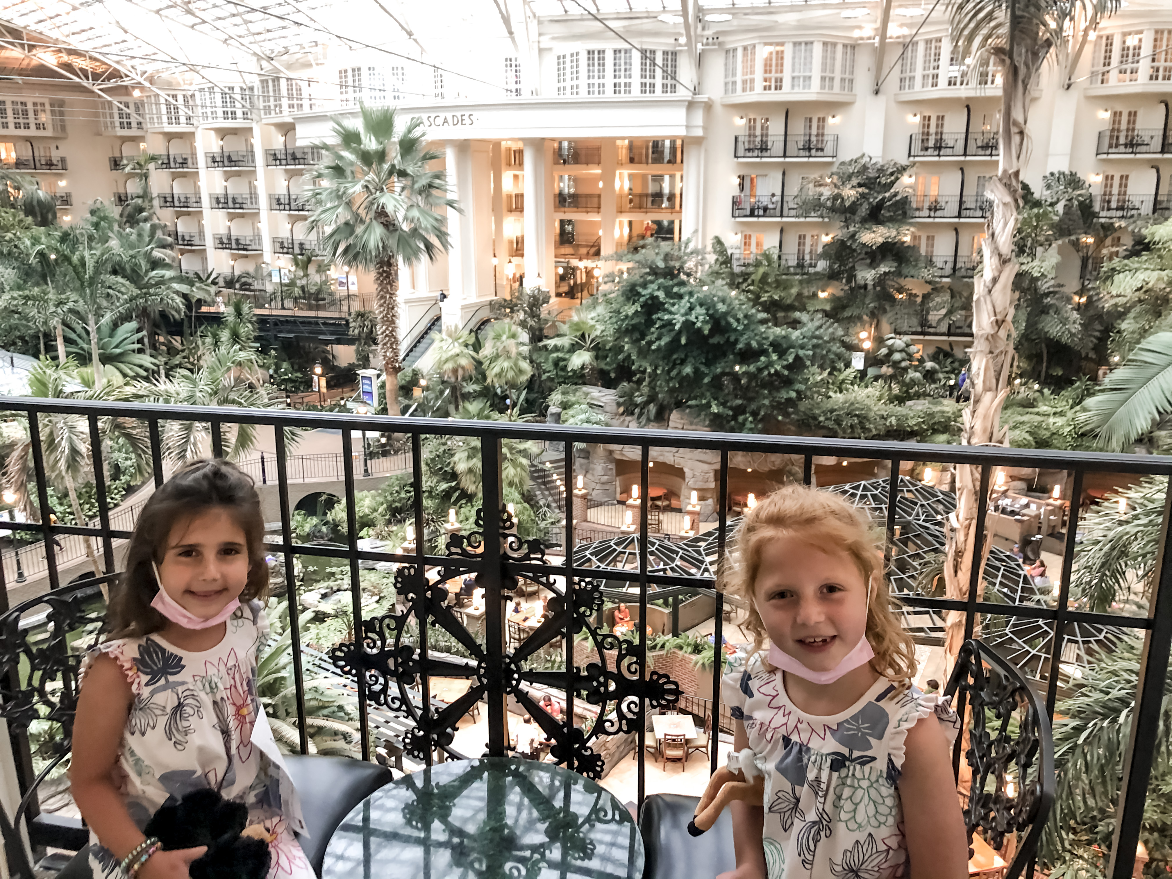 Opryland - View from balcony of atrium from interior room