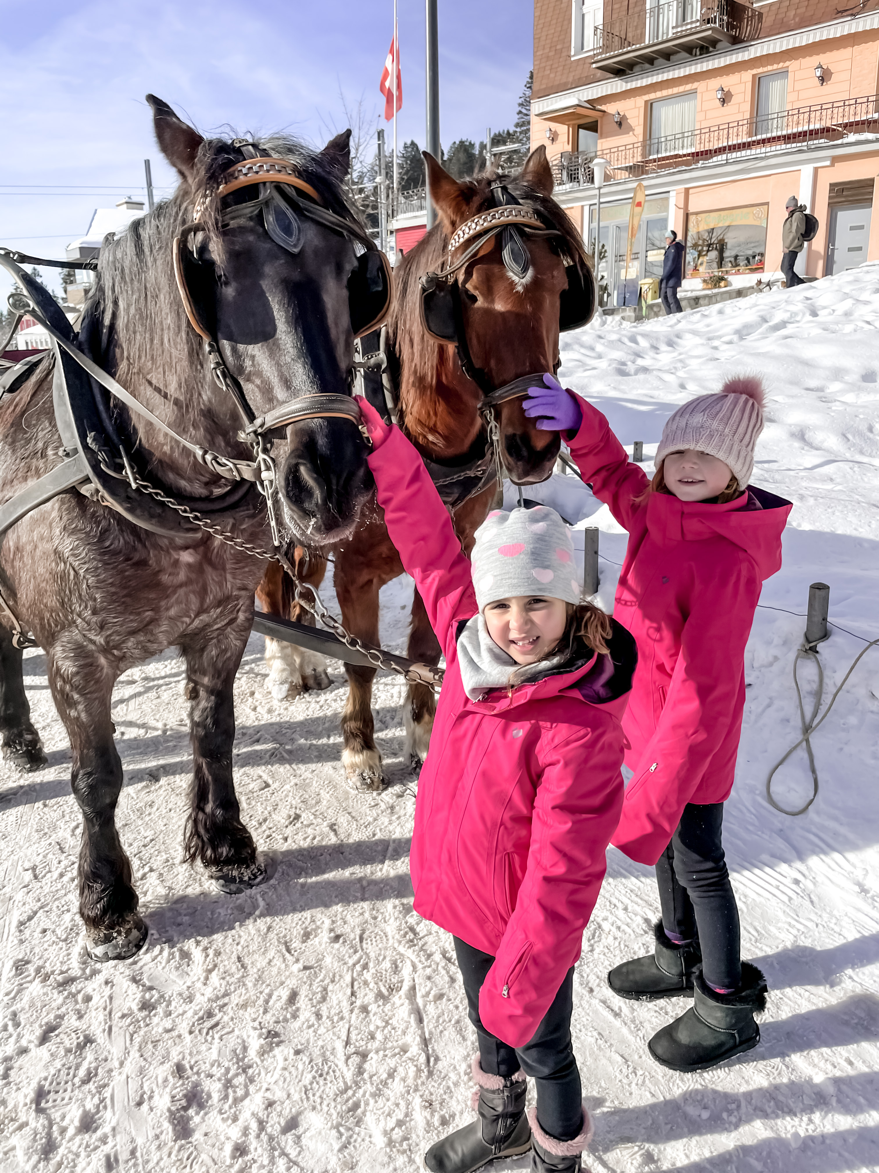 Rigi Kaltbad - Snow Much Fun on Mt. Rigi - Horses
