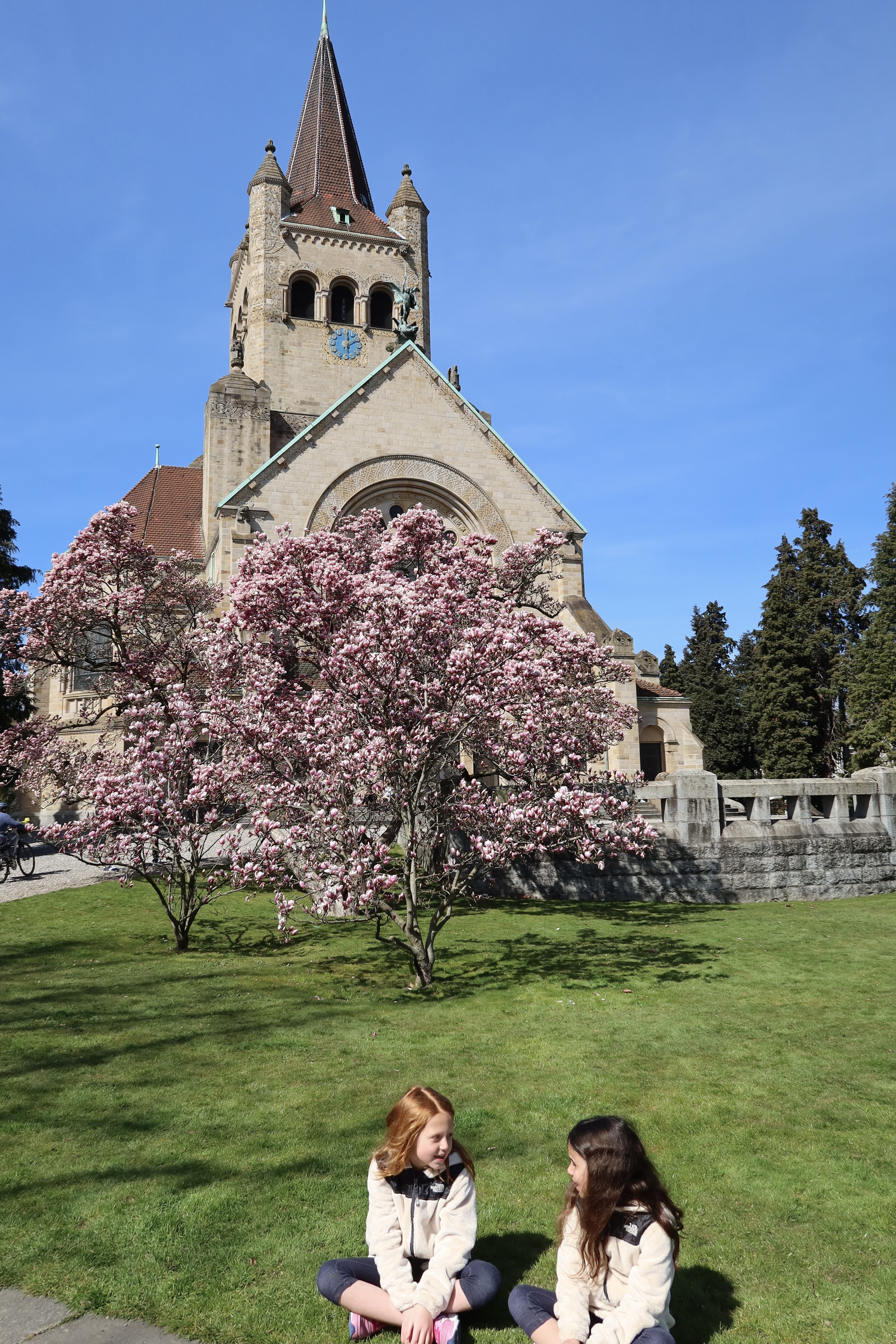 Expats living in Switzerland - 6 months - Blooming flowers