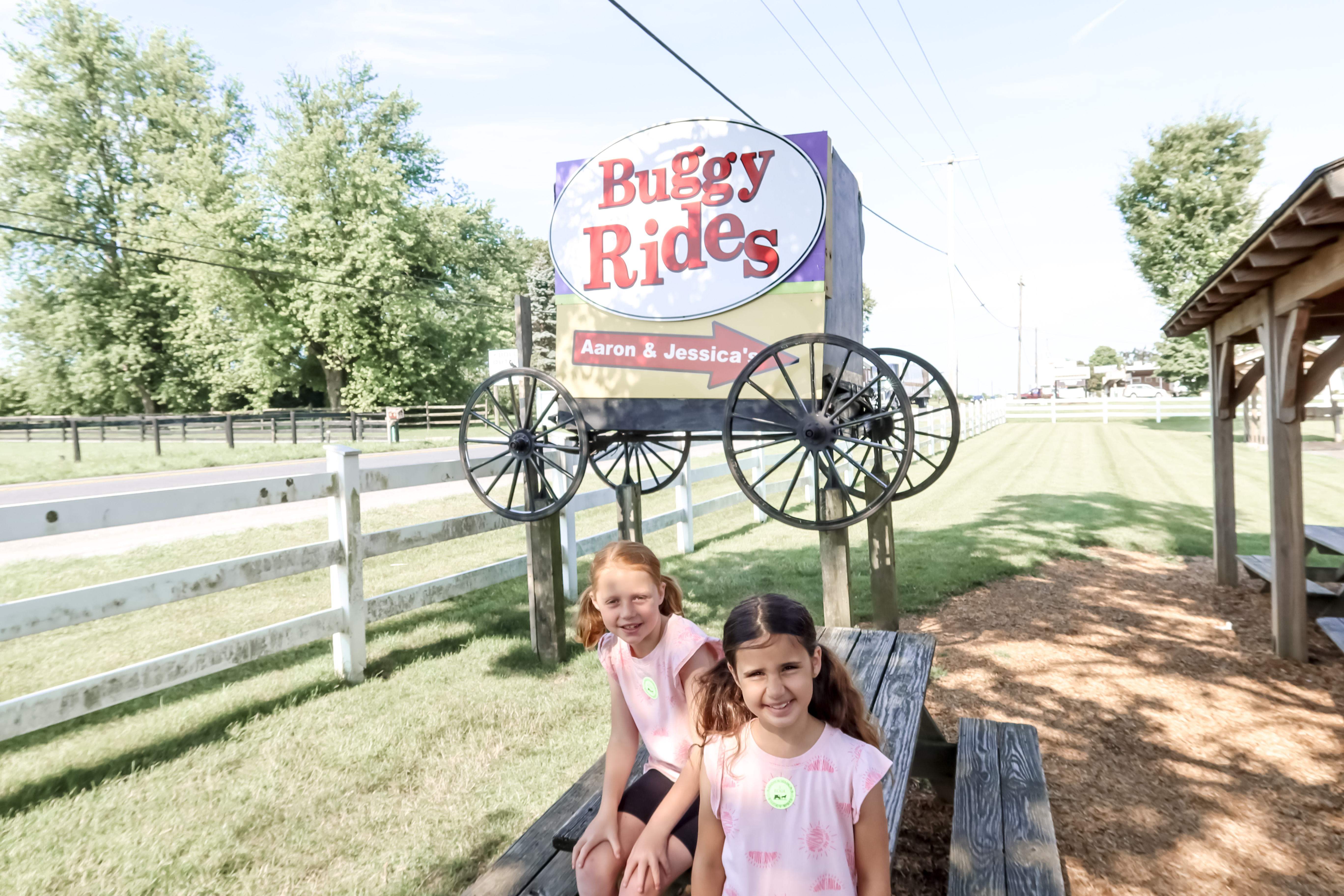 Buggy Rides in Lancaster - Kid-Friendly Activities in Southeastern Pennsylvania