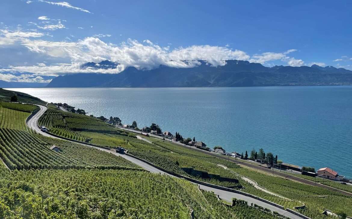 Hike through the vineyards of Lavaux - 60 Places to Visit During Your Time in Switzerland 