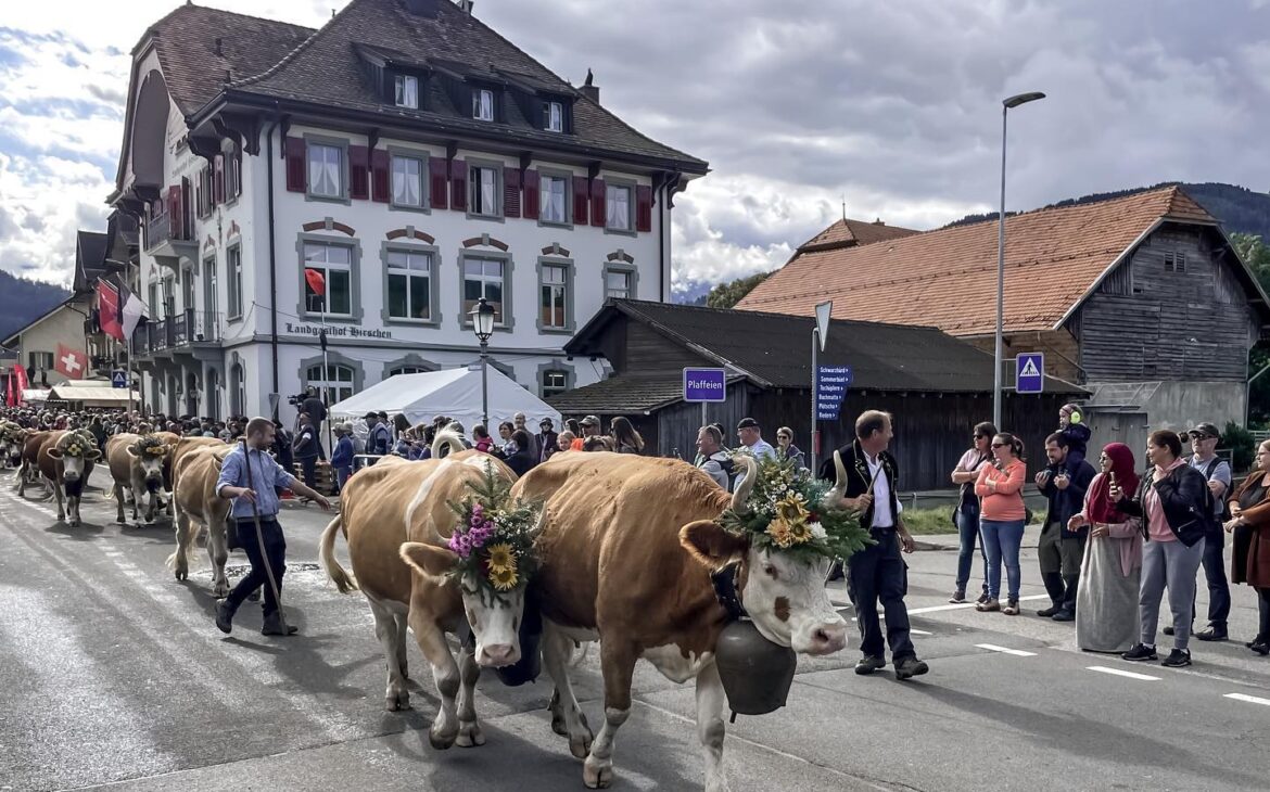 See an Alpabzug - 60 Places to Visit During Your Time in Switzerland 